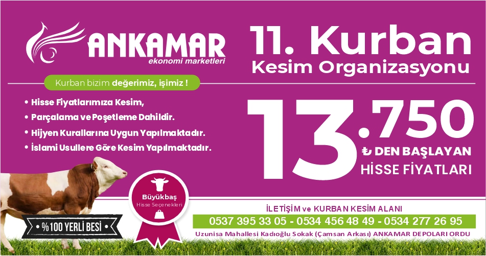 Gelsineve